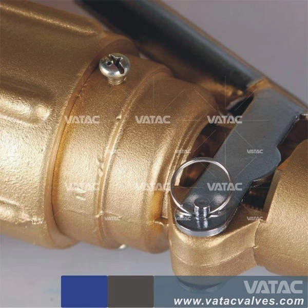 C96800 Spring Loaded Safety Relief Valve