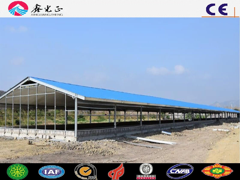 Light Steel Structure Design Chicken House for Raising Broiler