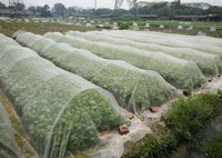 Neto agrícola, la prueba de insectos Net