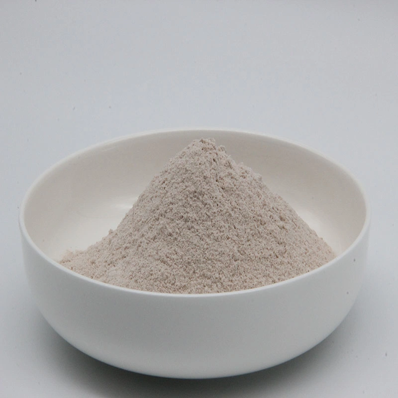 Feed Additive Clostridium Probiotic Clostridium Butyricum Powder Clostridium Butyrate