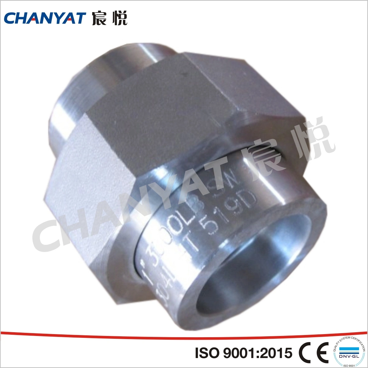 ASME, Mss, DIN, JIS, GOST Stainless Steel Forged Fitting