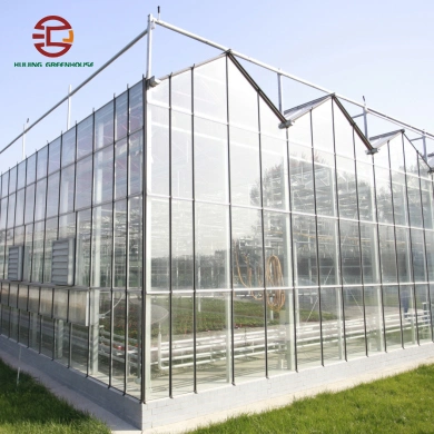 2023 China High Performance Venlo Glass Greenhouse for Modern Agriculture