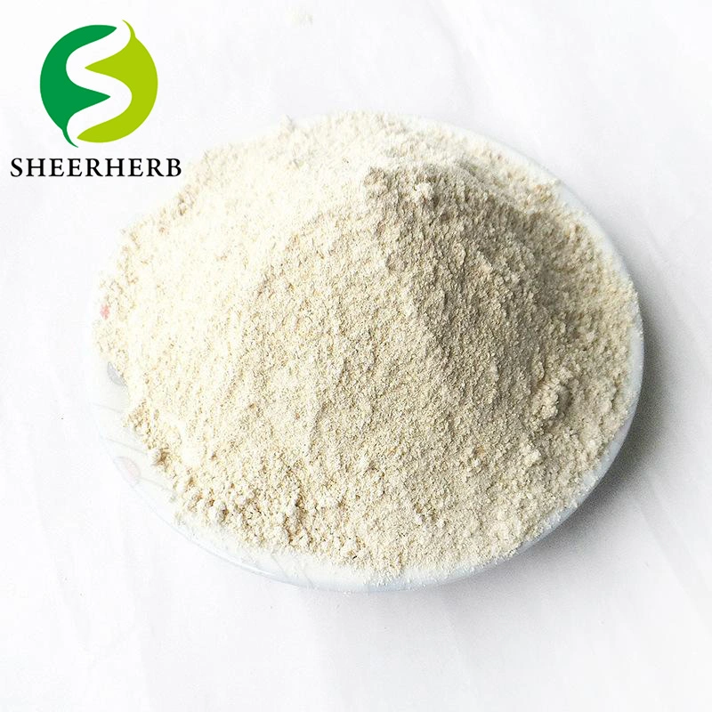 Sheerherb Factory Direct Sale Hydrolyzed Wheat Protein CAS. 70084-87-6