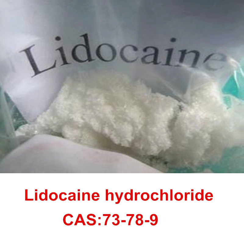 La lidocaína USP HCl en polvo de clorhidrato de lidocaína, anestésico local.
