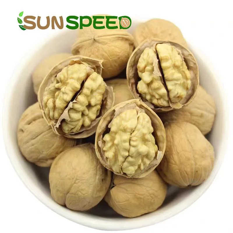 شينجيانج Paper Shell Delicious Inshell 185 Walnut الصينية النيئة Walnut