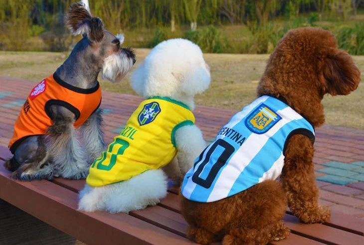 ملابس الكلب ماش وايستاطف كرة القدم الزي الموحد لكرة السلة ارتداء القط الحيوانات الأليفة ملابس كلب [فست] فرنسيّة مصارعة الثيران [تيدي] محبوبة أباريل