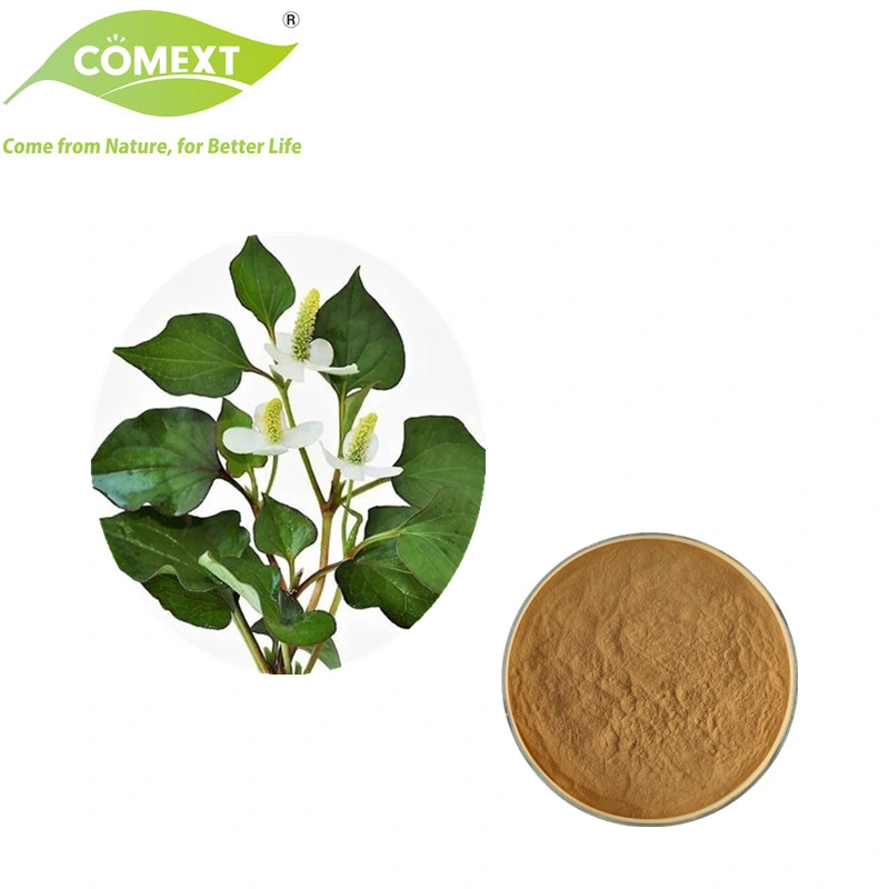 Comext Factory Halal Kosher Free Sample Natural Plant Extract Health Product Houttuynia Extract Powder