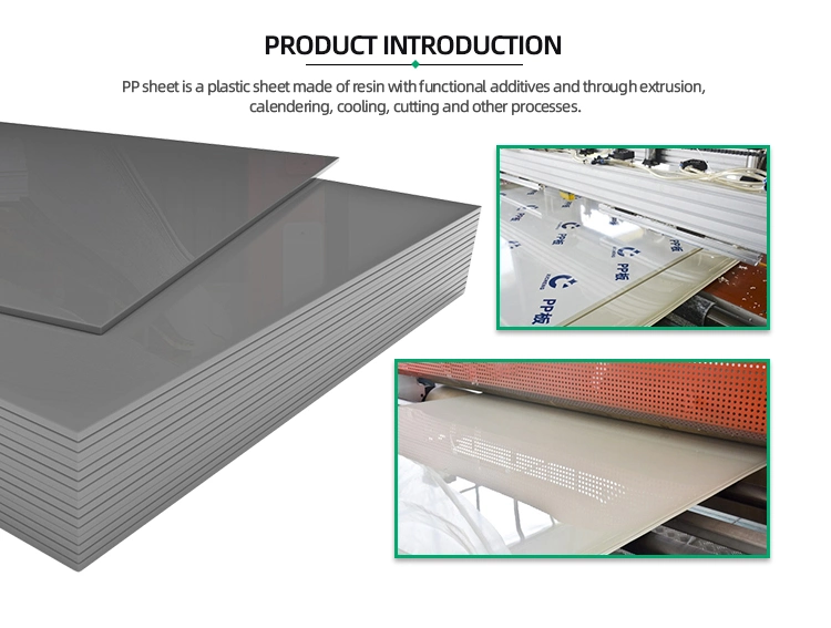 PP Polypropylene/PVC 3mm 5mm 10mm 12mm Thick Plastic Board