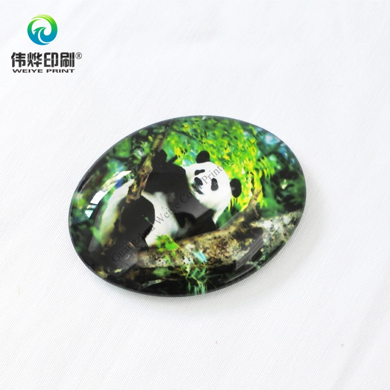 Cutie Panda Refrigerator Magnet Gift / Art / Craft