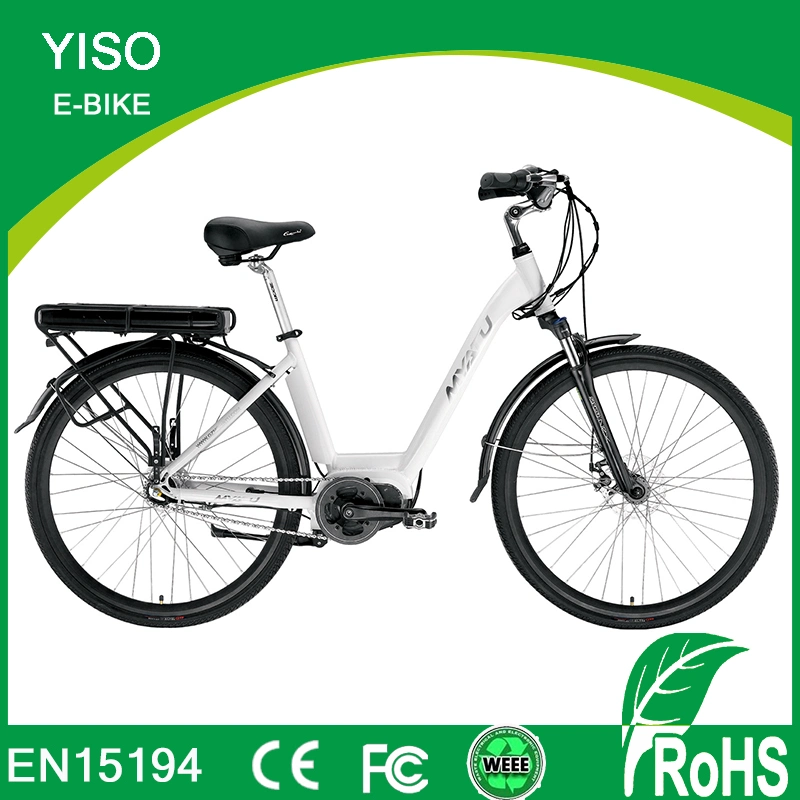 High Specification Wholesale/Supplier Lectric Bike Conversion Kit 1000W 2000W Motor MID Drive E-Bike