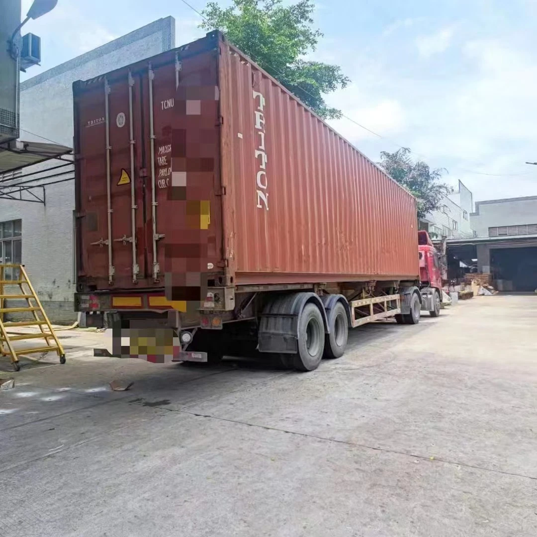 خدمة شحن الشحن البحري من شركة Shenzhen Freight Forwarder من الصين إلى جزر المالديف