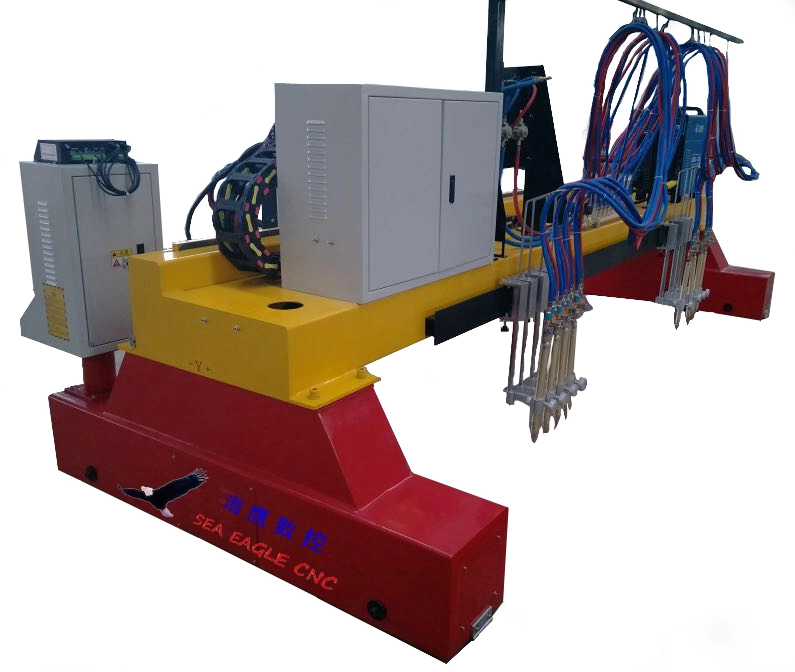 CNC Plasma Gantry Type High Precise Cutting Machine with Flame and Drilling