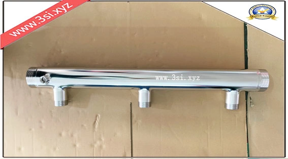 Stainless Steel Delivery Header for Booster Pump System