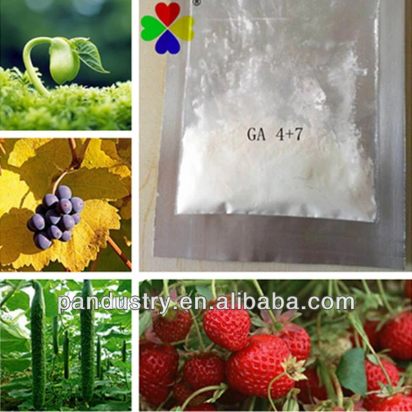 CAS No. 999-81-5 Chemicals Pgr Gibberellic Acid 90%Tc Ga4+7 for Apple