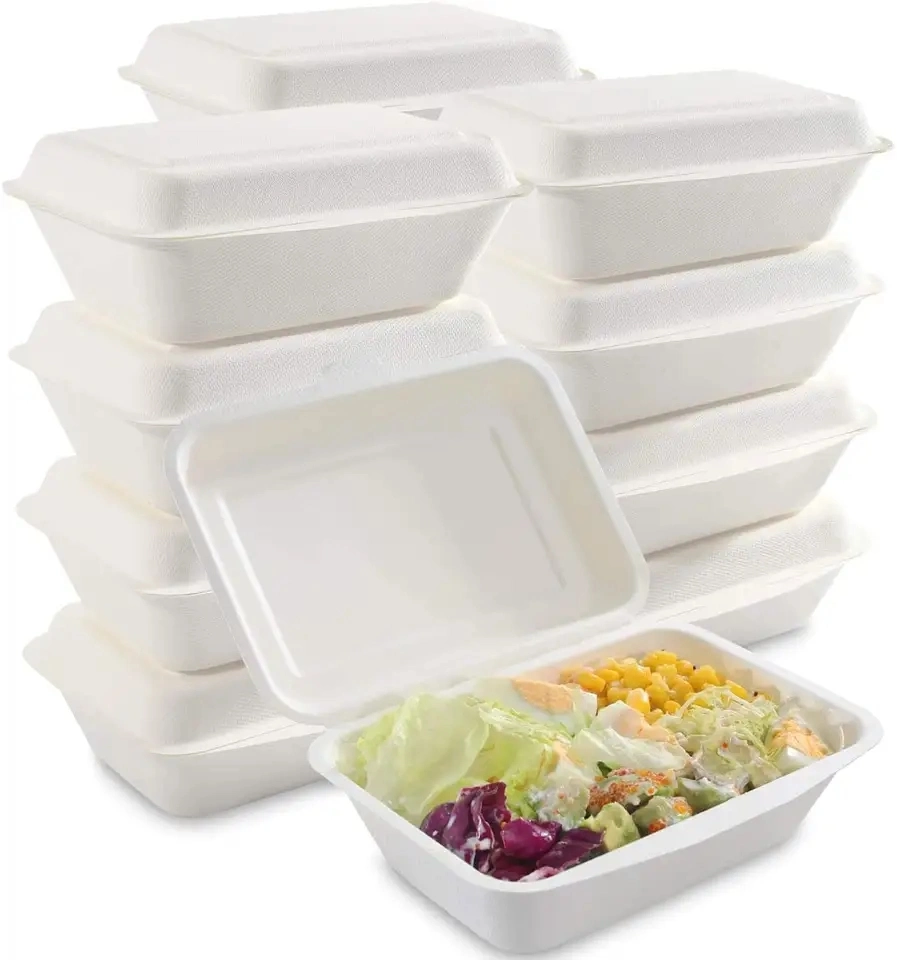 Disposable Biodegradable Sugarcane Bagasse Certified 6" X 4" Hinged container