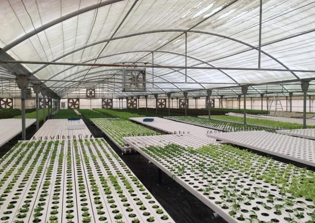 Hydroponics Comercial El cultivo de hortalizas de invernadero sistema NFT