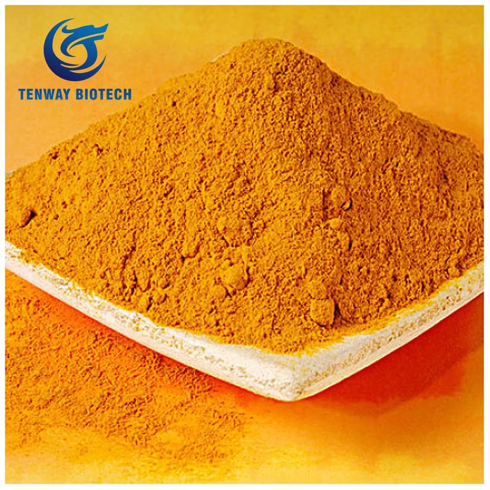 High Purity 98% Food Ingredient/Food Additive Curcumin Turmeric Extract Powder as Food Coloring