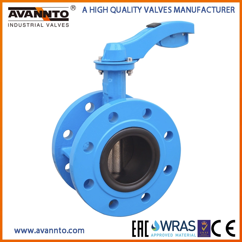 Double Flange Butterfly Valve with Gearbox Pn6/Pn10/Pn16