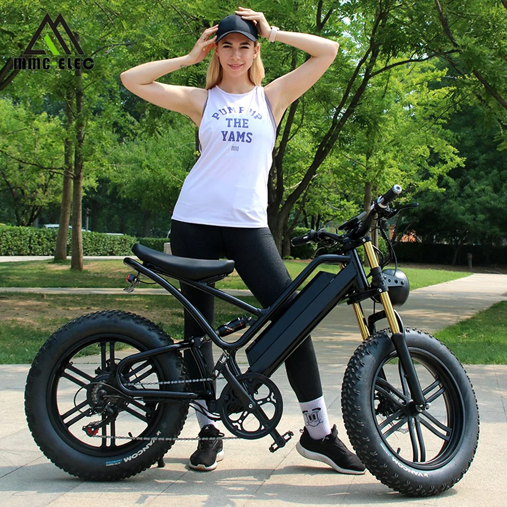 Top Selling 350W 500watts 36V/48V Lithium Battery Bicycle Retro Style Electric Bike with EEC/CE Certificate