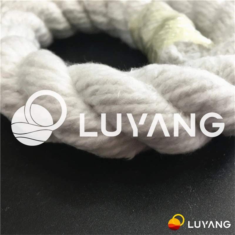 Ceramic Fiber Luyangwool Textile Ss Reinforced Tape