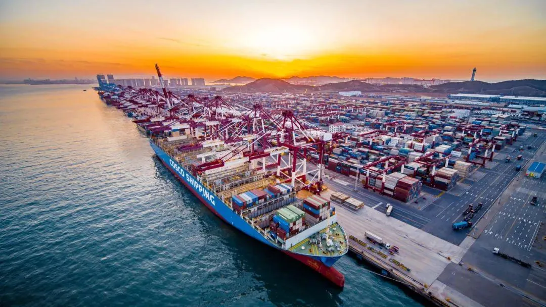 Professional Sea Freight From Guangzhou, Shenzhen, Shanghai, Hong Kong, Macao, Haikou in China to Abu Dhabi (AEABD) , Ajman (AEAJM) in The United Arab Emirates