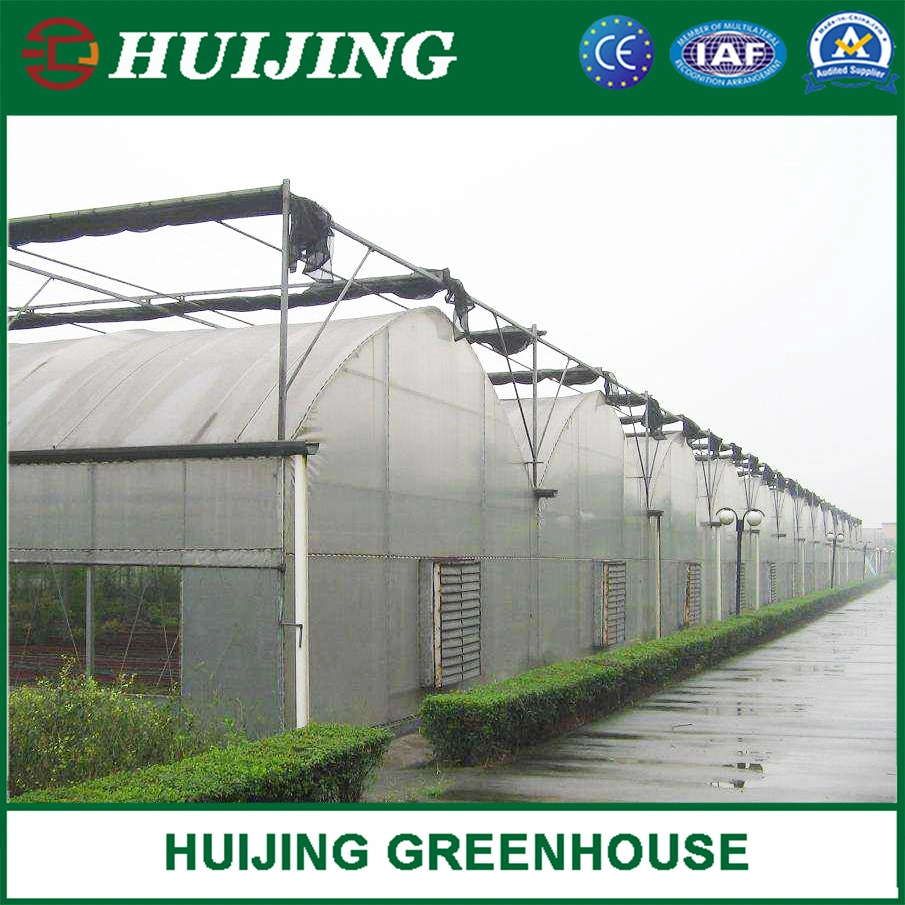 Planting Tomato Plastic Film Greenhouse with G90 Steel Frame