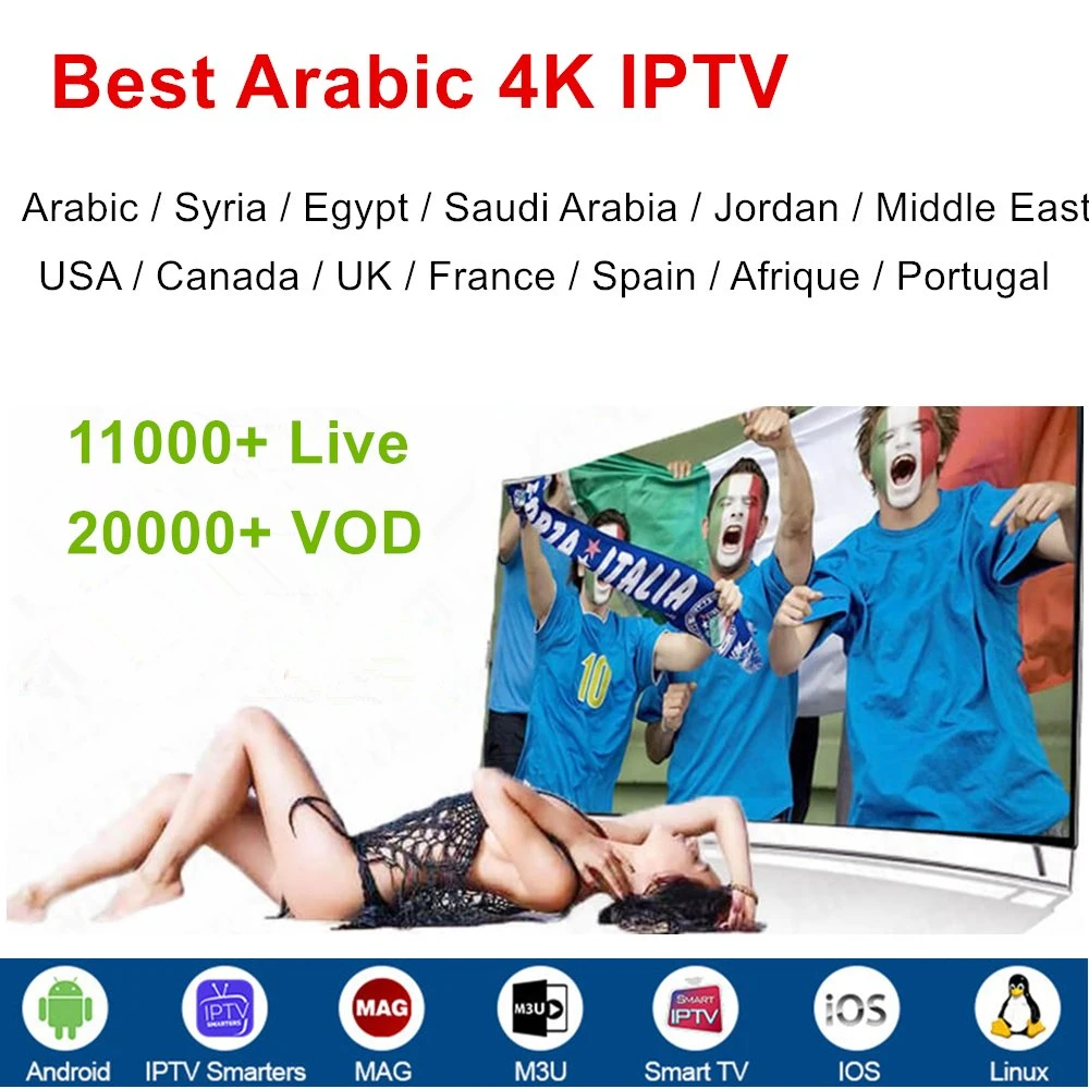 Франция IPTV Server Best 4K M3U Greece Италия Подписка Великобритания Канал Французский канал