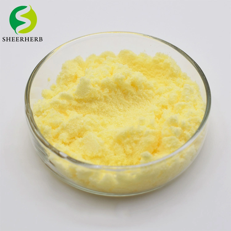 Manufacturer Supply Antioxidant Thioctic Acid Alpha Lipoic Powder OEM