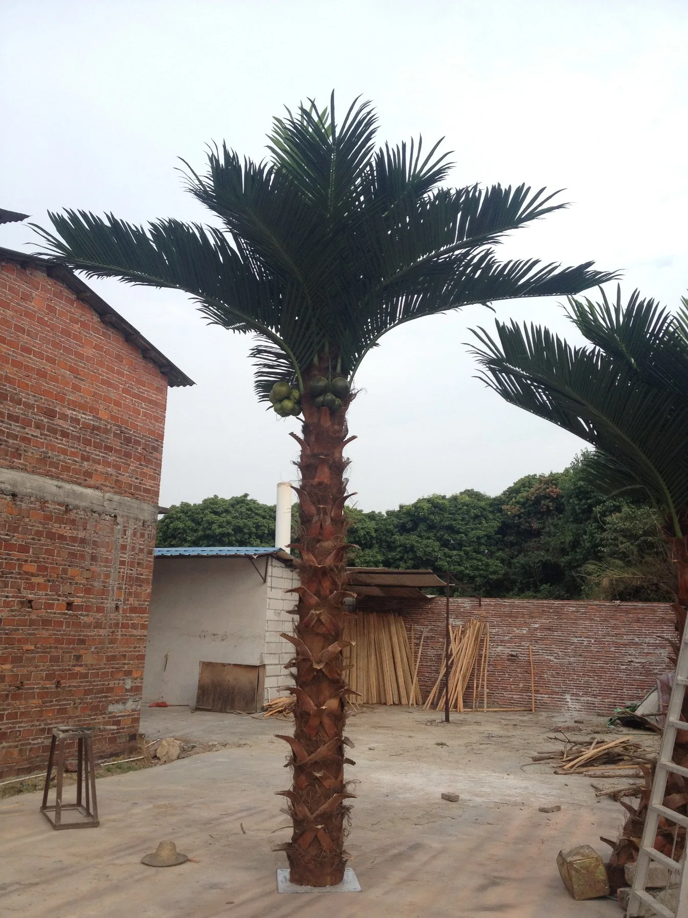 Factory Wholesale/Supplier Artificial Washington Palm Tree for Indoor Outdoor Decoration