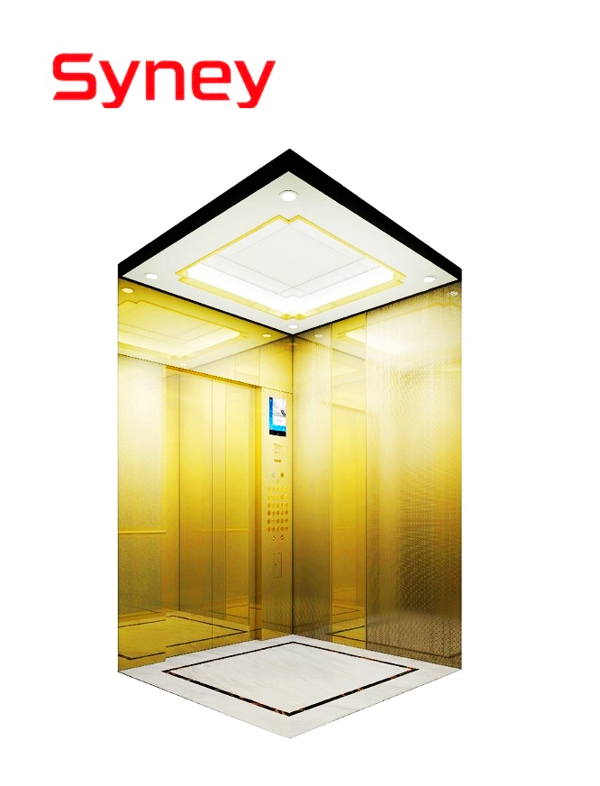 China Wholesale/Supplier Elevator Supplier Residential Elevators and Escalators Villa Passenger Lift for 10 Persons 800kg