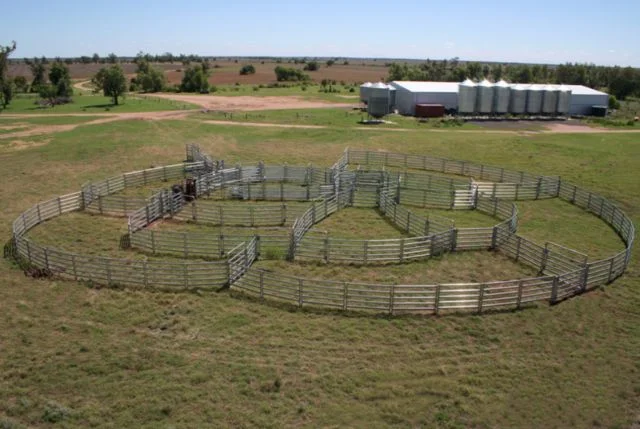 Best Selling Galvanized Horse Rail Cattle Yard Fence Livestock Fencing Panels