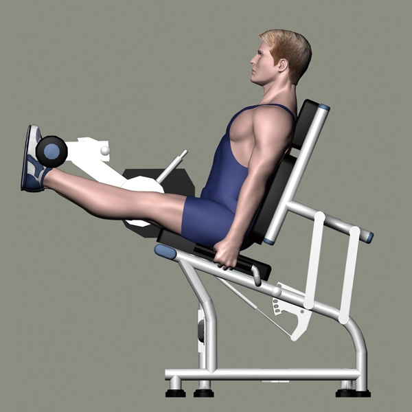 Gym Equipment Fitness for Seated Leg Extension (M2-1005)