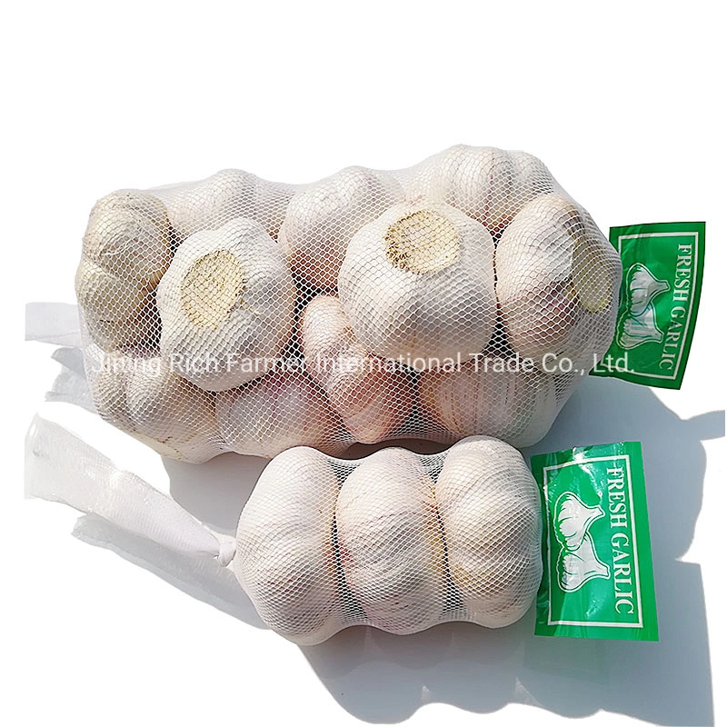 Petit emballage 3PC 5PCS 500g 1kg Chine l'Ail frais