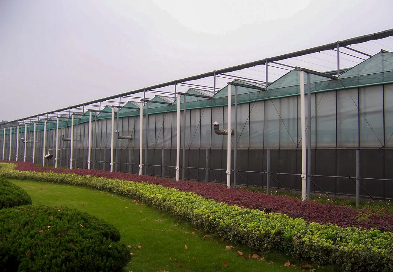 Beliebte maßgeschneiderte Multi-Span Arch Landwirtschaftlichen grünen Haus mit Hydroponics-System Für Tomaten/Gurken/Salat/Pfeffer/Frühlingszwiebeln/Brunnenkresse