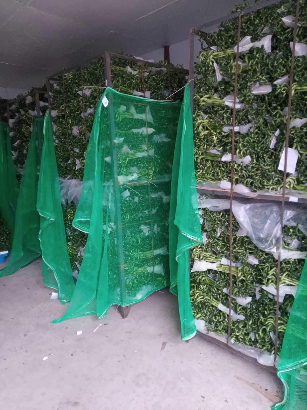 Fabrik Preis Grün Blatt Pflanzen Blumen Spirale Glücklich Bambus Stick Gartendekoration