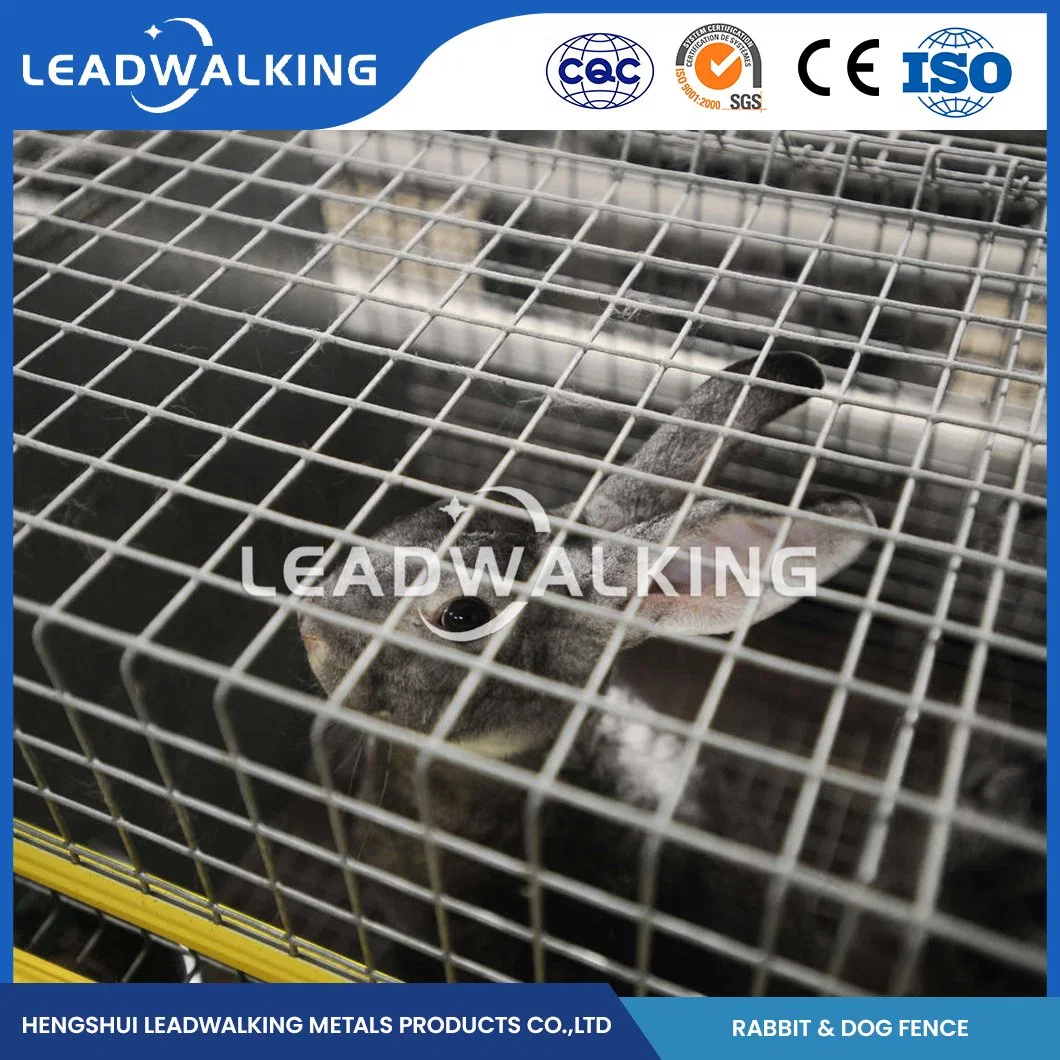 Portátil Leadwalking valla PERRO PERRO galvanizado al por mayor de fabricación de la perrera de la jaula de alta calidad Wear-Resistant China valla valla perro