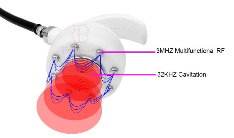 25kHz Ultrasound Cavitation RF Weight Loss Fat Burning Slimming 40K Cavitation RF Machine