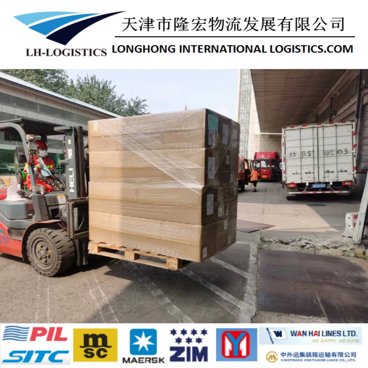 Professional Sea Freight Forwarder Agent Shipping From China to Euro /Italy/ France