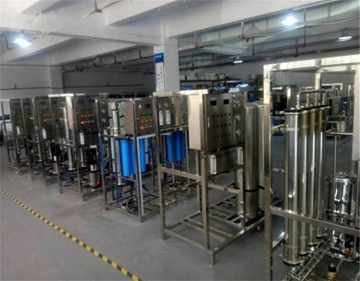 Cosmetic Production RO Water Treatment Plant Reverse Osmosis Filter with EDI System Auto Operation Cosmetic Supplier 4040 4080 500lph RO Reverse Osmosis Water