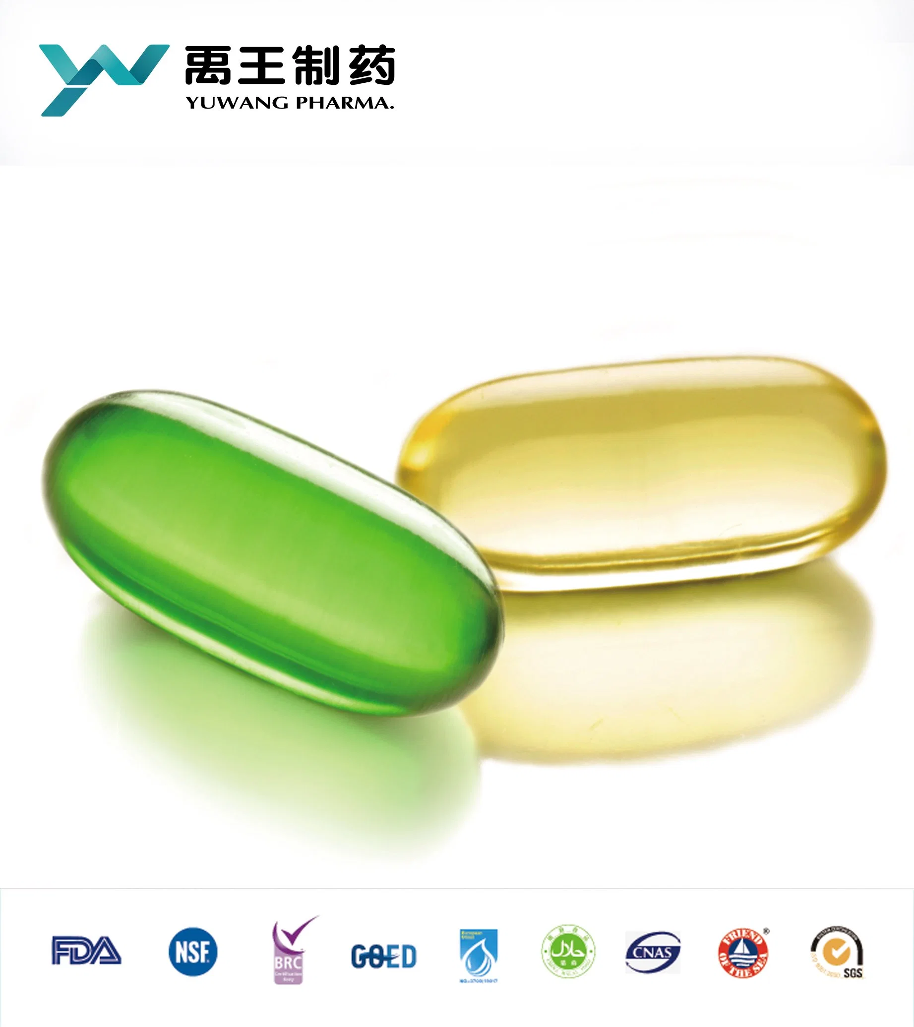 Brc/NSF Yuwang OEM Green Tea Extract Capsule Softgel Capsule in Bottle or in Bulk