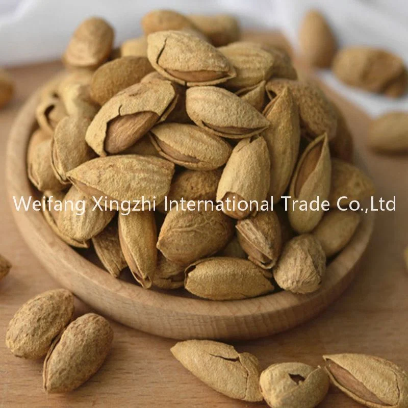 Wholesale/Supplier Healthy Thin Skin Almond Roastd Almond