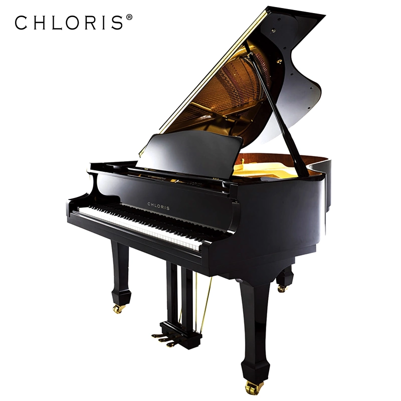 Chloris Deutschland FFW Felts Grand Piano Hg168e mit Keyboard für Verkauf