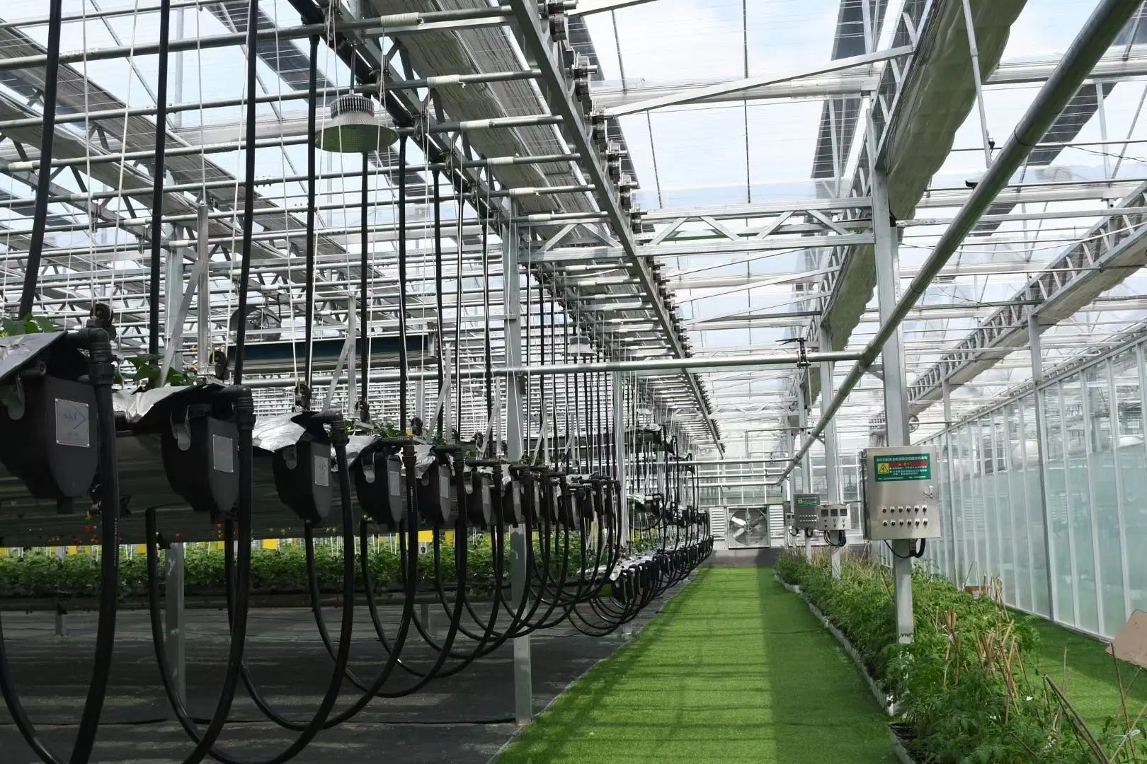 Láminas de policarbonato cubiertas de cristal de la casa verde de pepino tomate Verduras Flor de la casa productos para el jardín Hidroponía sistemas de cultivo