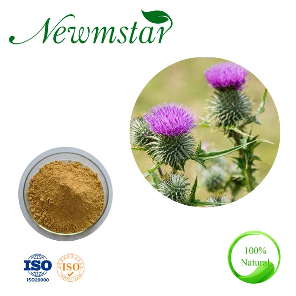 Milk Thistle Yellowish-Brown Powder Extract Plant Seed Extract Melissa Extract