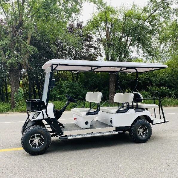 48V 60V Electric Vehicle with Roof Golf Cart with Competitive Price with Flip Down Rear Seat