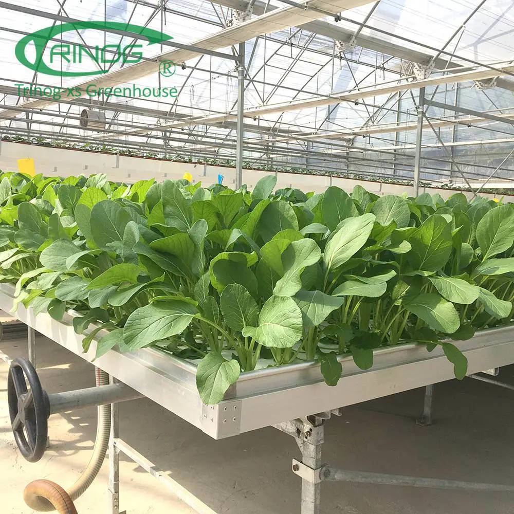 Wholesale/Supplier Cheap Best Multi-span Agricultural Cultivation Hydroponics System Greenhouse Film Cover