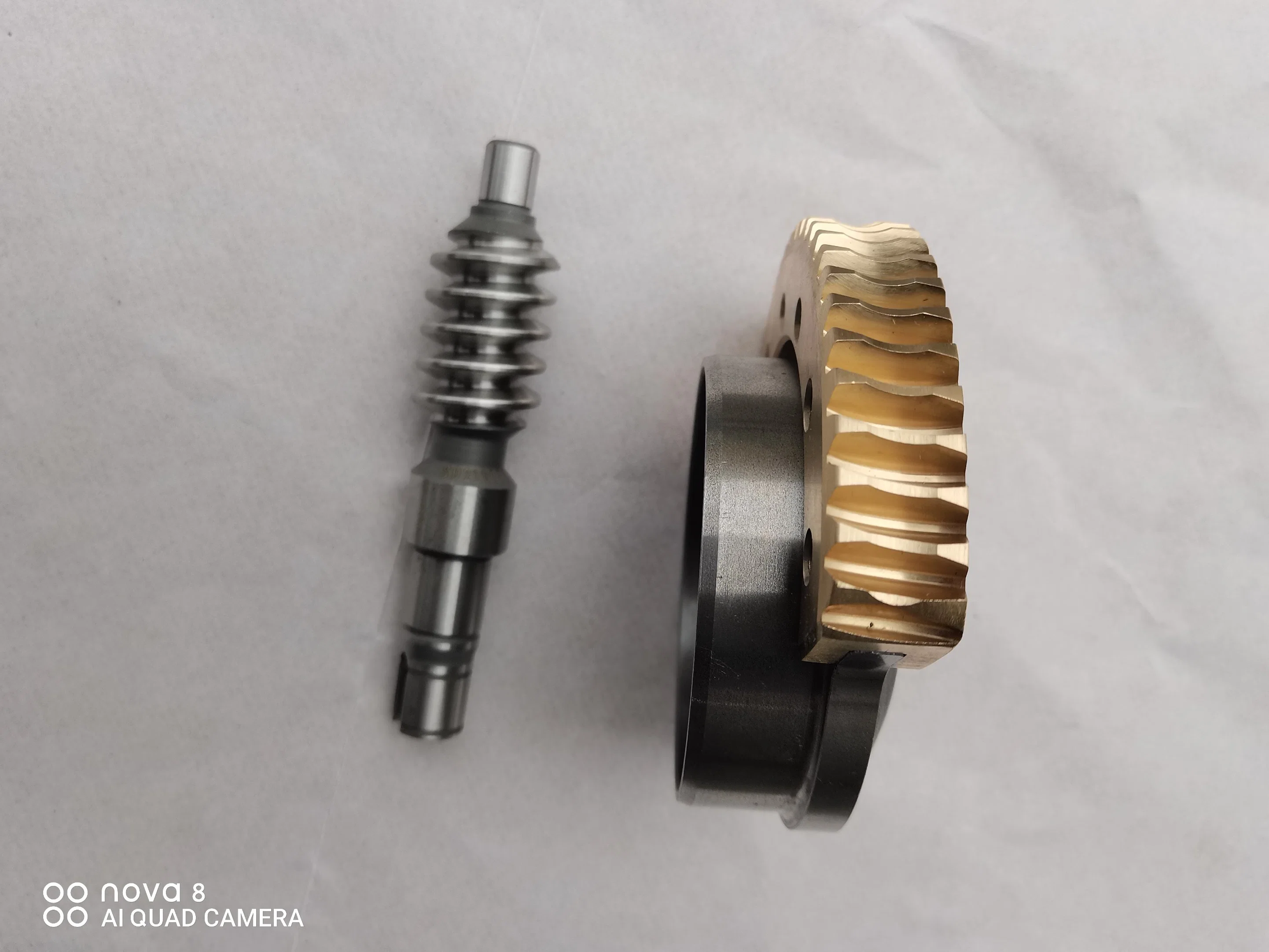 OEM Customized Worm Shaft and Worm Gear Worm Wheel