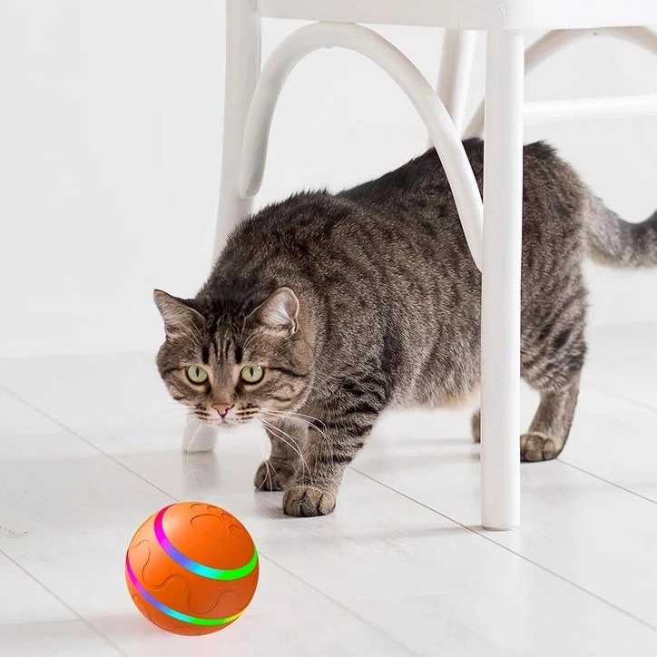 Hot Selling Interactive Intelligent Remote Control Luminous Cat Toy Dog Training Ball Silicone Electric Pet Toy