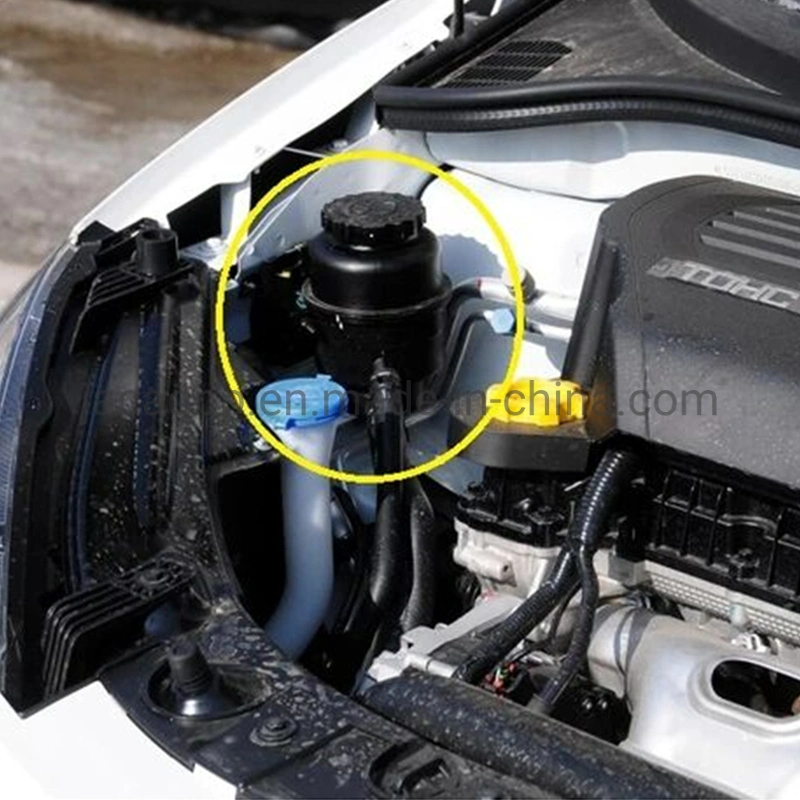 Auto Parts Steering System Steering Pump Oil Tank for Chinese Saic Roewe Mg3 Part No. 10098539