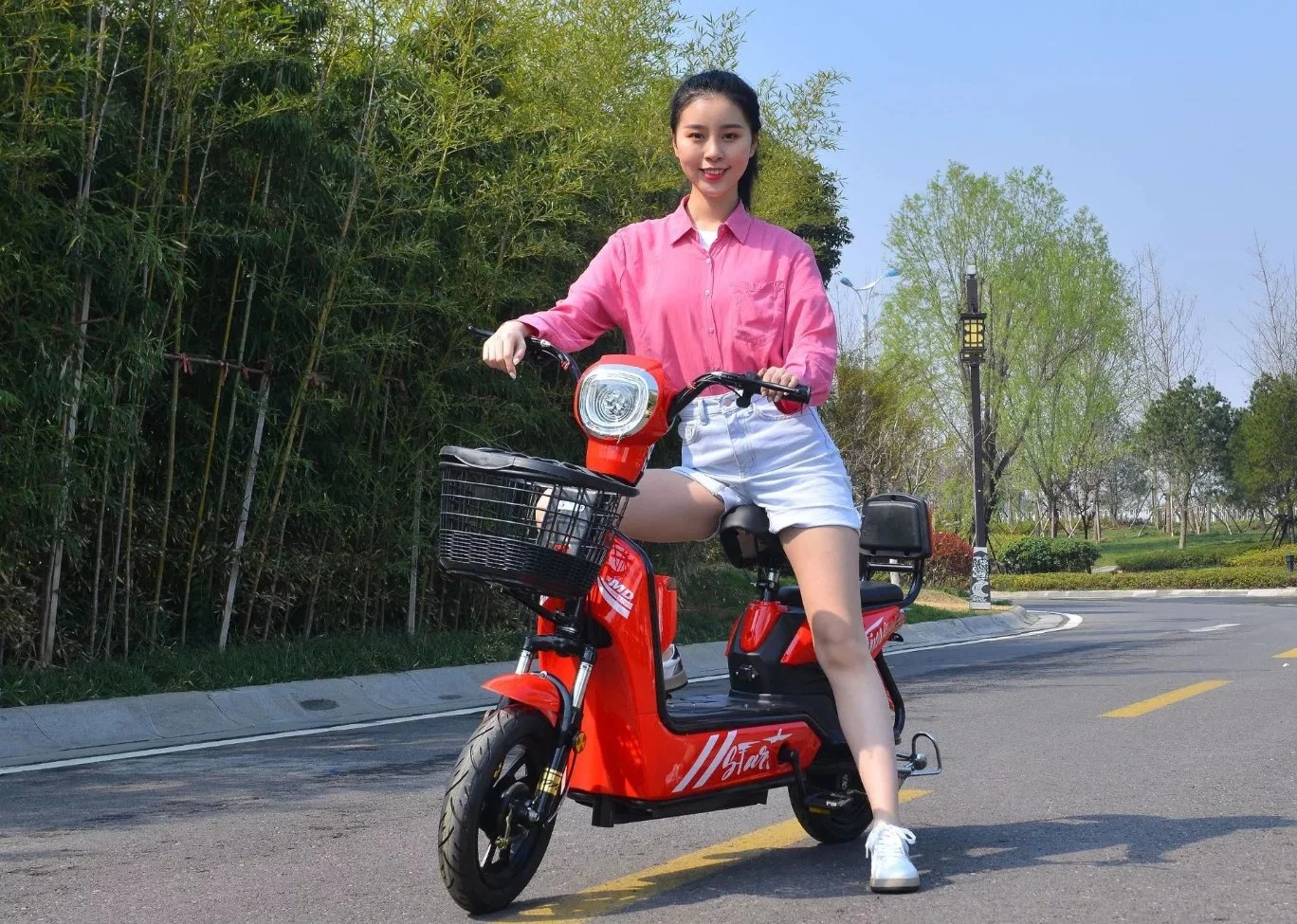 Electric Bicycle Adult Men and Women 48 V Lithium-Ion Battery Electric Vehicles, Electric Generation Driving Bicycle